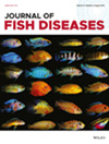 JOURNAL OF FISH DISEASES雜志封面